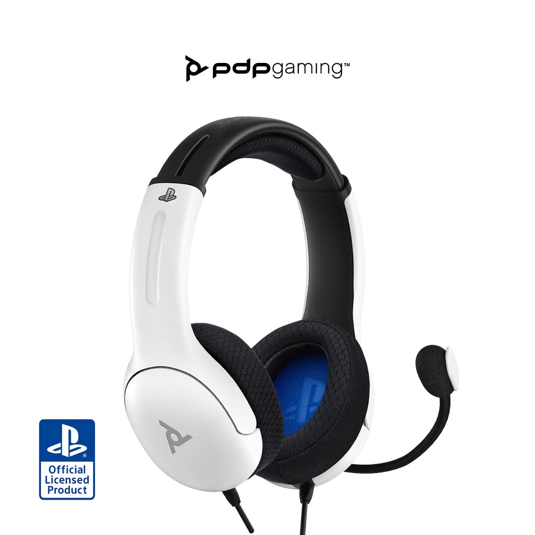 Gift Idea Example: PlayStation & PC Headset